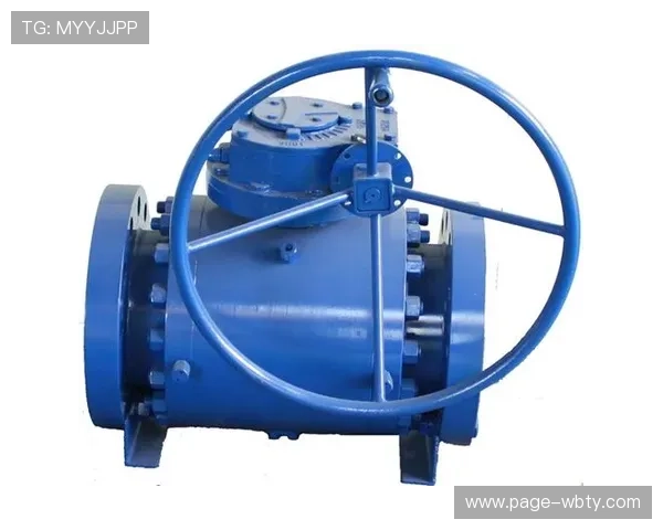 万博国际彩票官网支付方式多样化保障您的资金安全策略