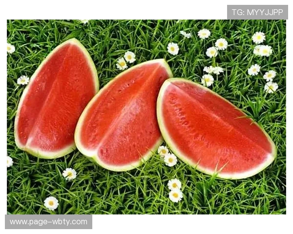 万博网页手机版下载安装指南与使用流程详解