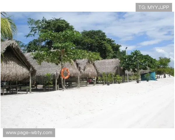 如何获取最新的万博app链接，确保每次登录都能顺利进入平台